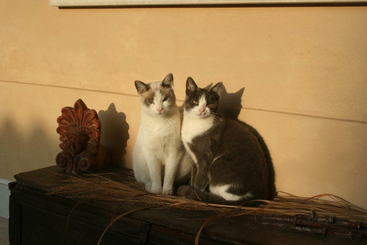 Piadena La Casa Nel Borgo Bed & Breakfast エクステリア 写真